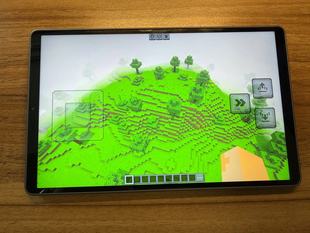 マイクラのプレイ画面4