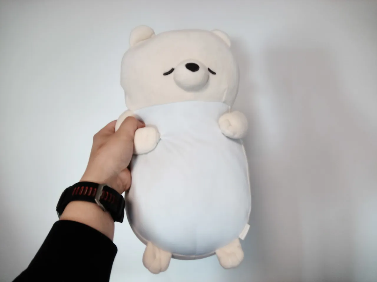 ALLDOCUBE iPlay 80 mini Ultraのリアカメラで撮影したぬいぐるみ
