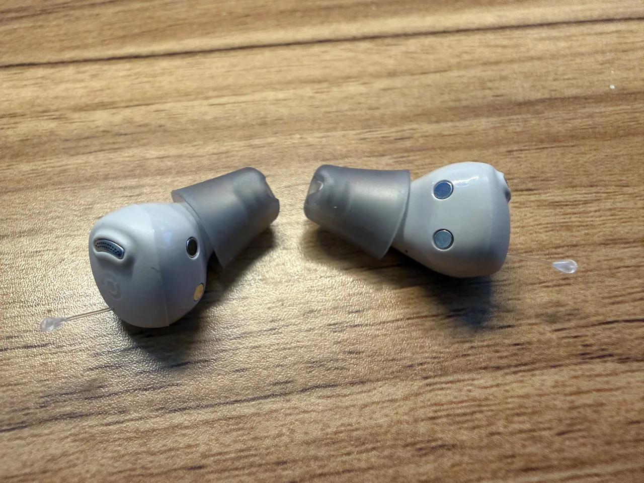集音器本体の外観(内側)