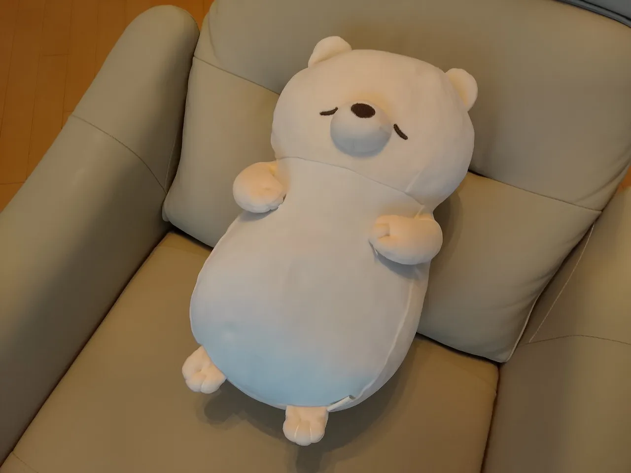 リアカメラで撮影したぬいぐるみ