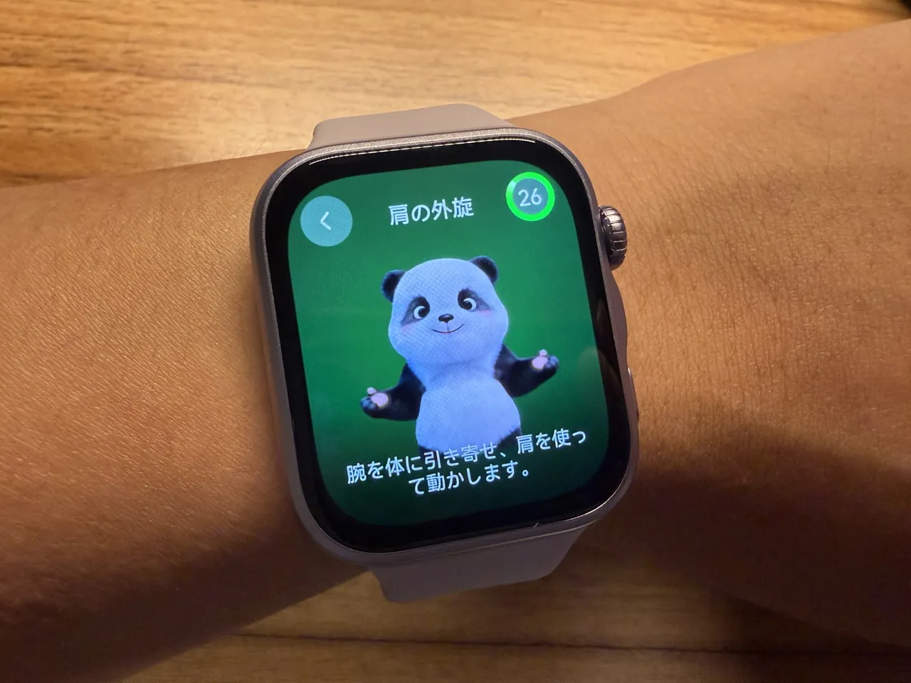 ミニストレッチ中のパンダ