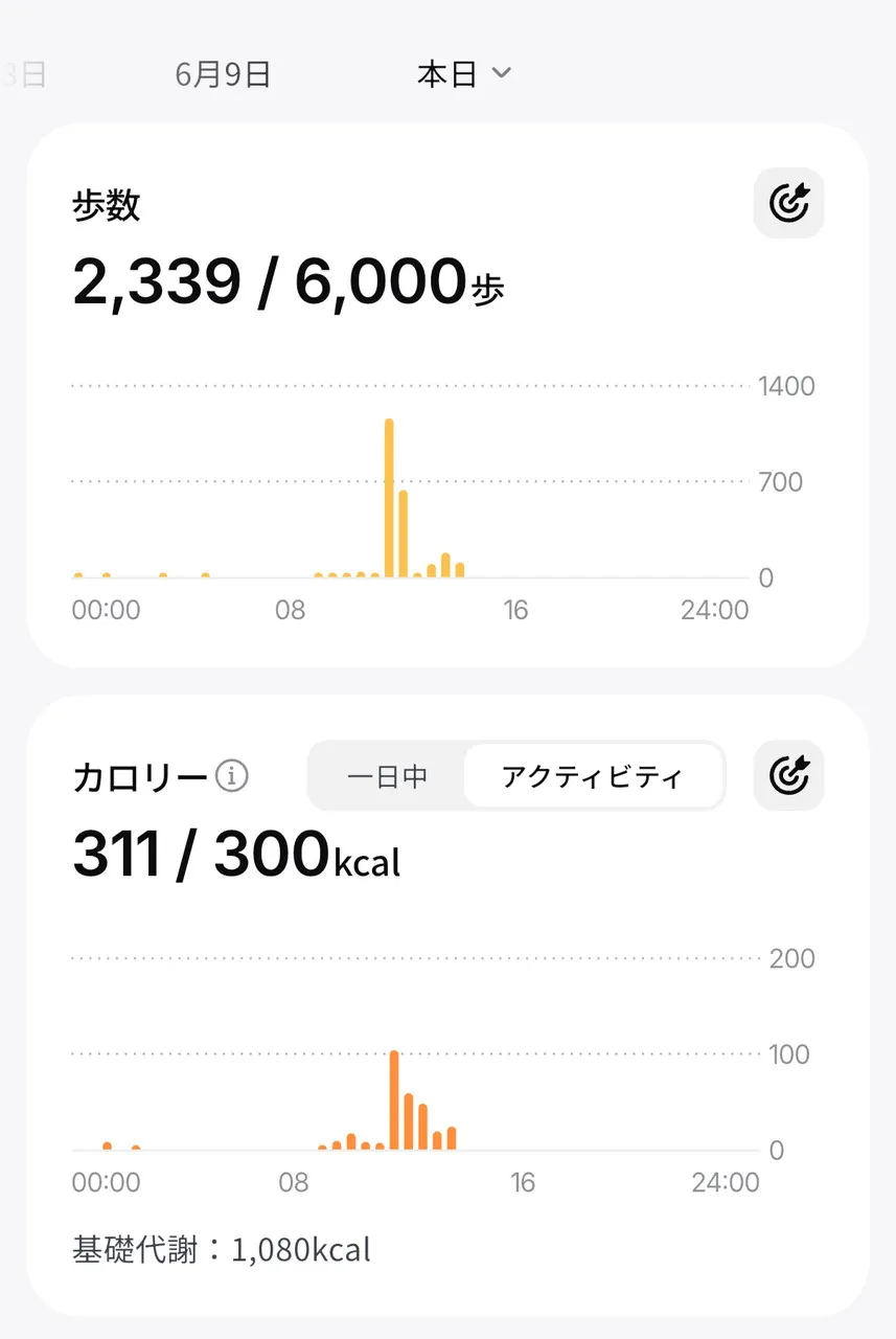 アクティビティ確認画面2
