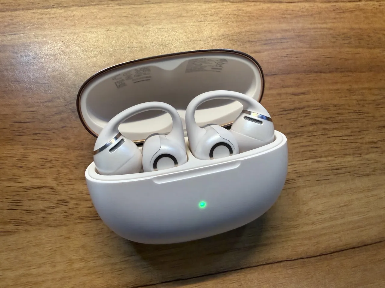 充電ケースに収まっているShokz OpenDots 2