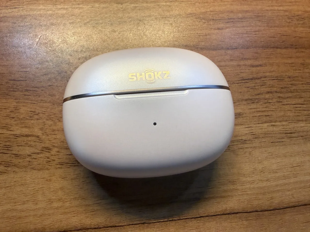 Shokz OpenDots 2の充電ケース