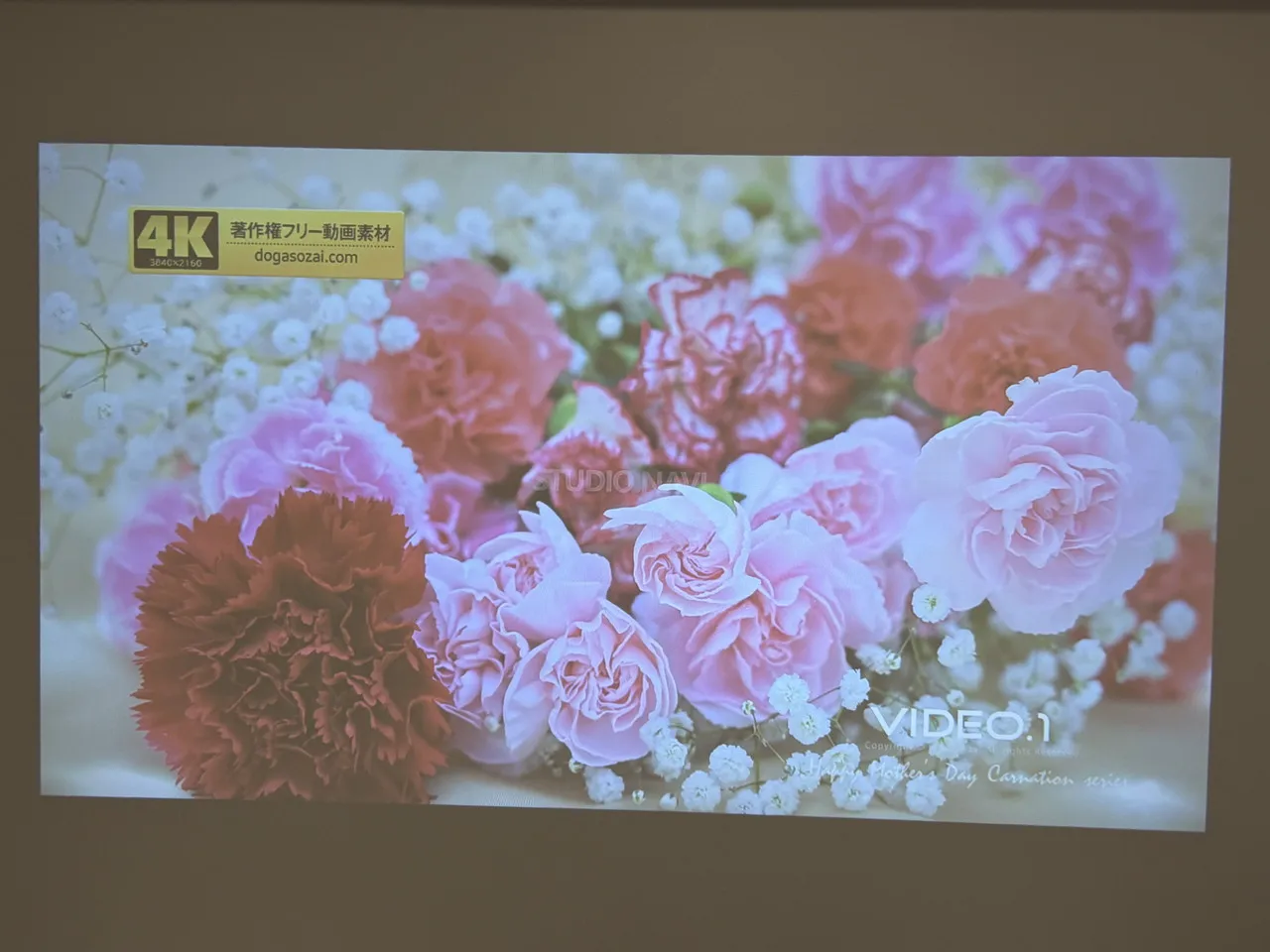 夜間(照明点灯)の投影映像