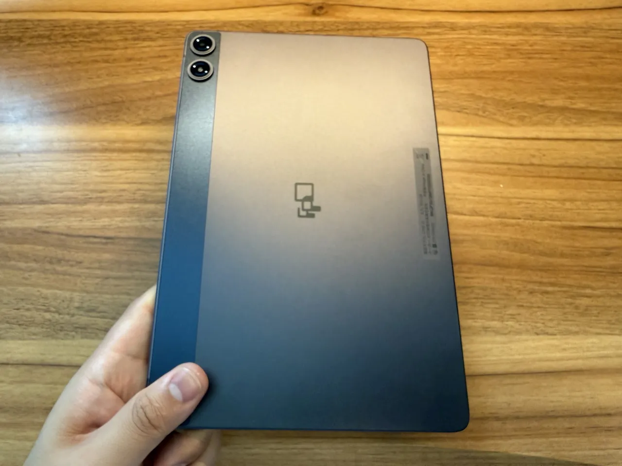 FPD CP10-J1を手に持っている(裏面アングル)