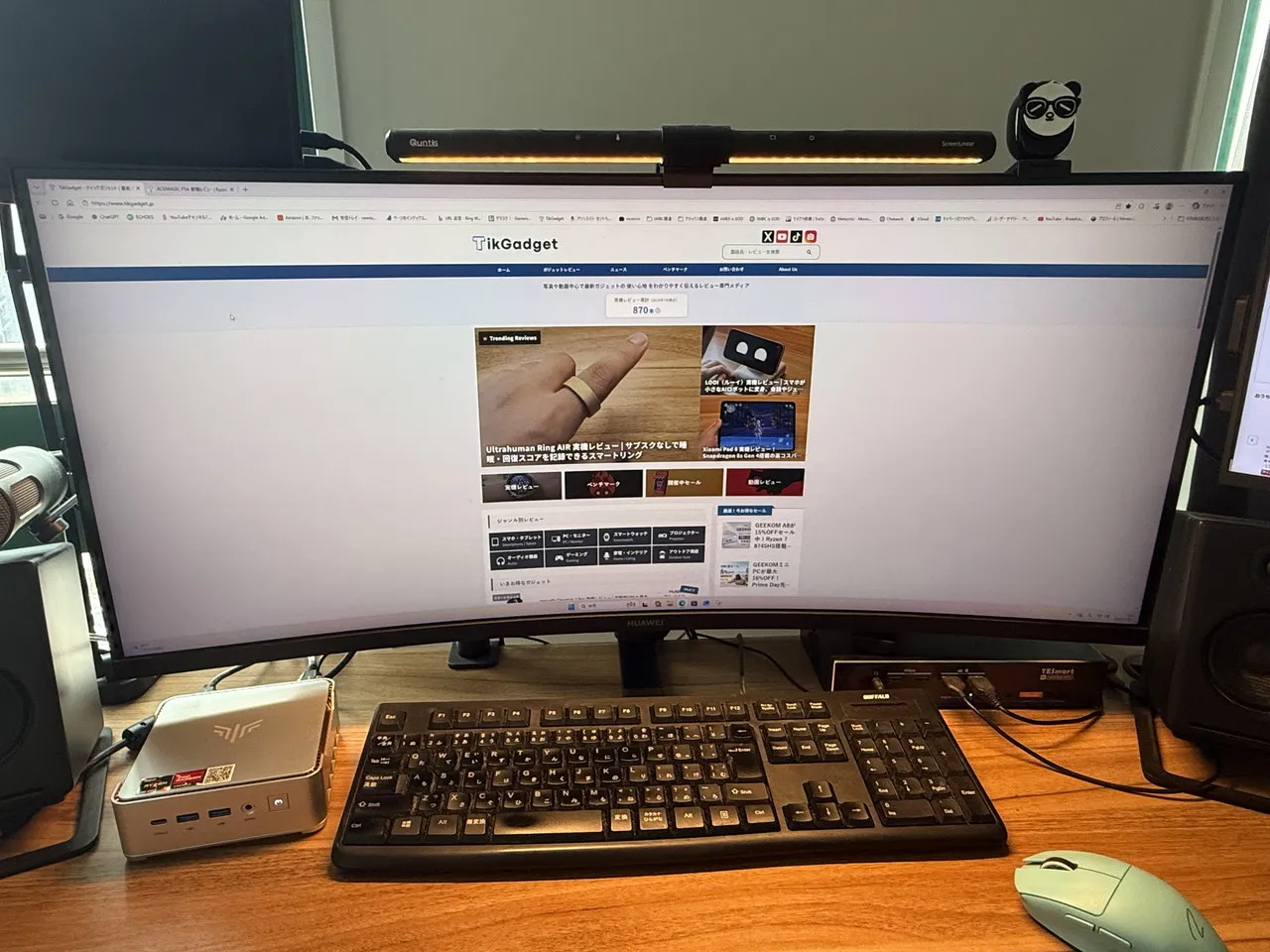 NiPoGi P2でウェブサイトを閲覧している