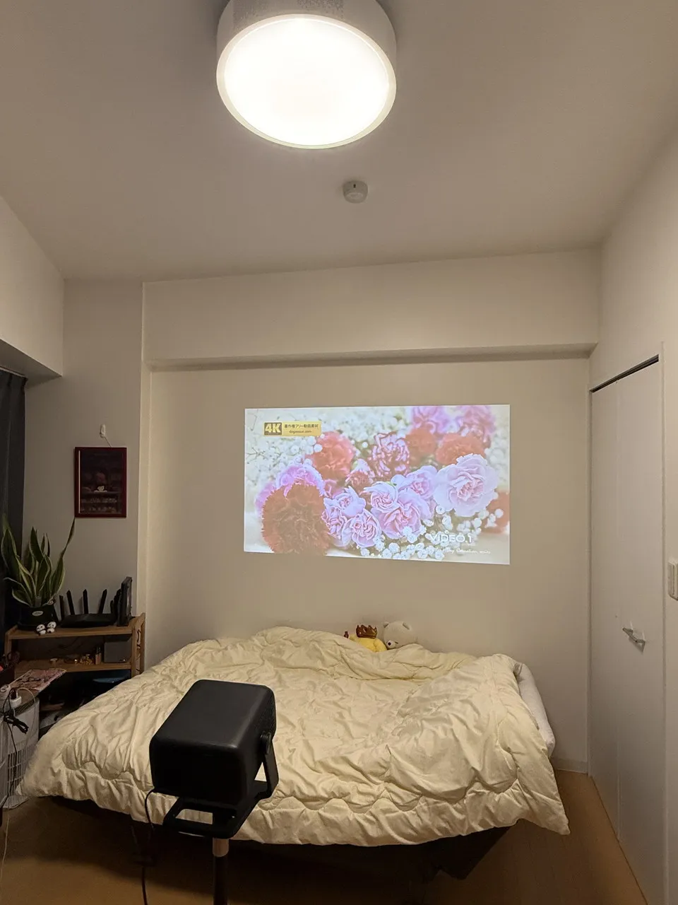 夜間(照明点灯)