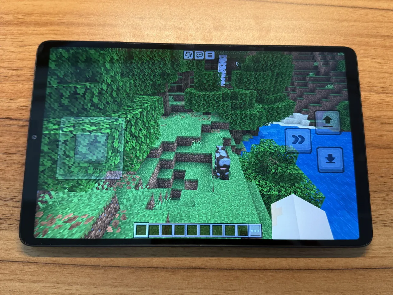 マインクラフトのプレイ画面3
