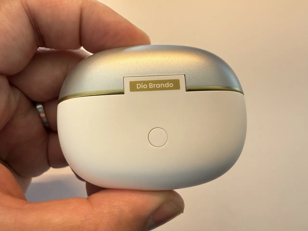 OpenDots 2 ディオ・ブランドーモデルの充電ケース外観(背面アングル)