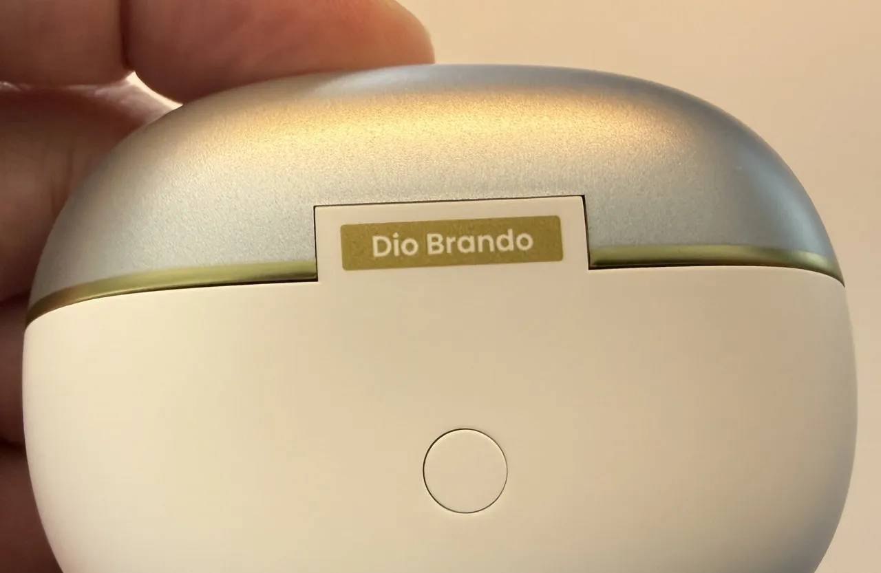 背面のヒンジ部分の「Dio Brando」の文字